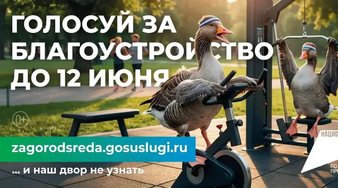 Стартовало голосование за объекты благоустройства:  как россияне меняют свои города