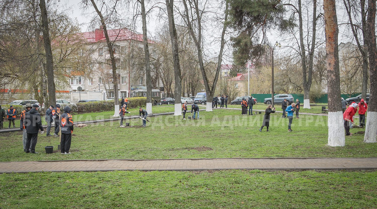 В Брянске появилась новая аллея в честь ликвидаторов аварии на ЧАЭС