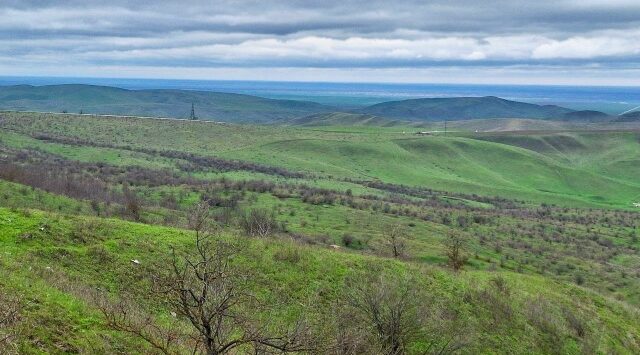 Брянская станция переливания крови обеспечила военный госпиталь плазмой крови