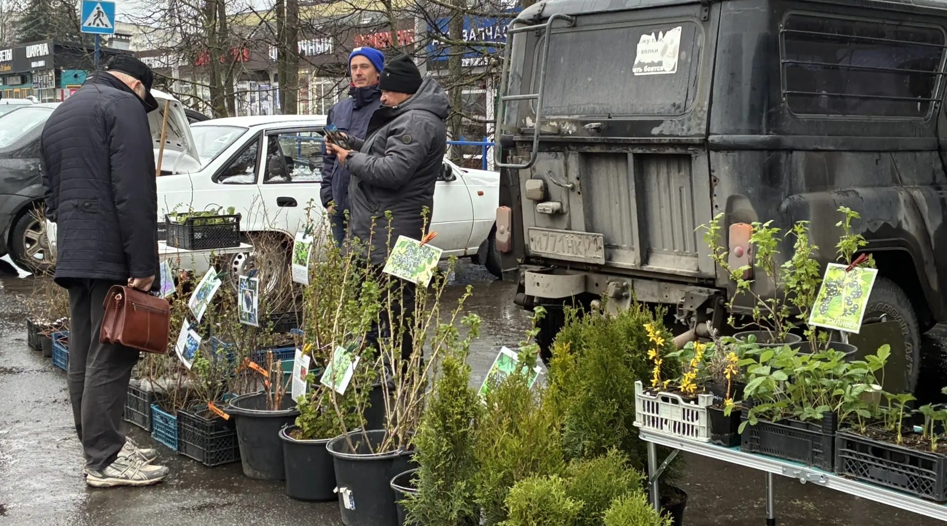 Ярмарки выходного дня в Брянске пользуются спросом у горожан