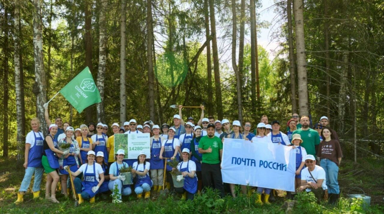 «Почтовый лес» появился ещё в шести регионах