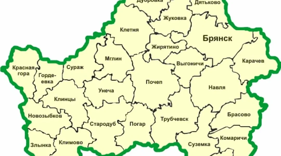 О расширении свободной экономической зоны на всю Брянскую область выступят региональные власти