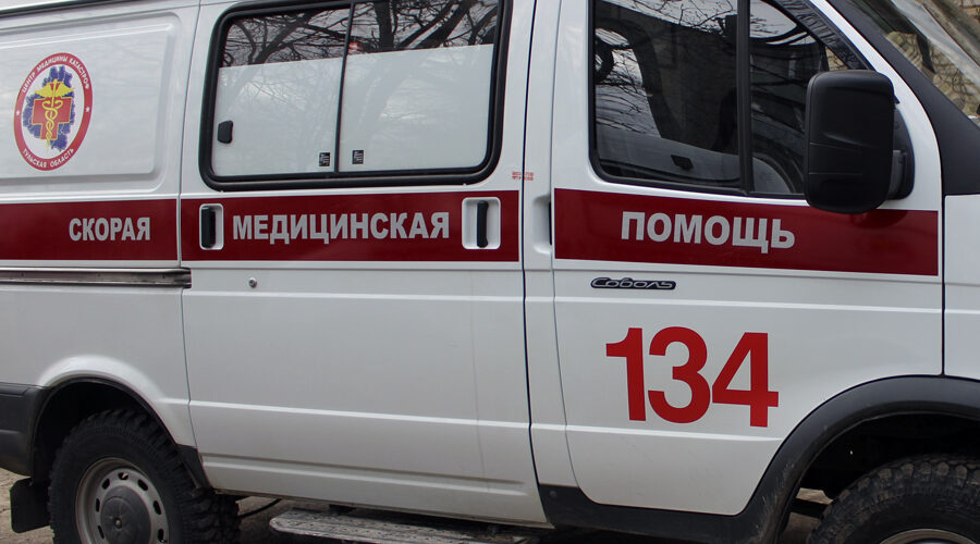 Врач скорой помощи рассказал карачевцам , что можно и чего нельзя делать, если укусила змея