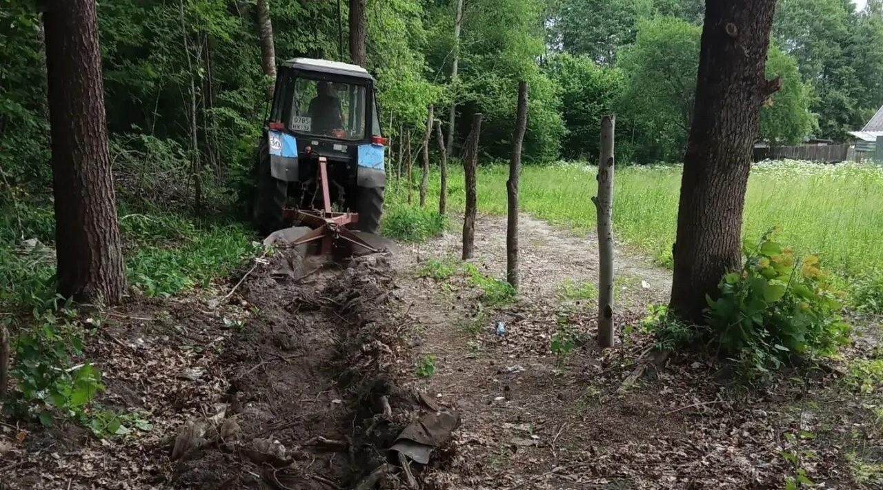 В Брянской области провели устройство новых минерализованных полос на 153,97 км