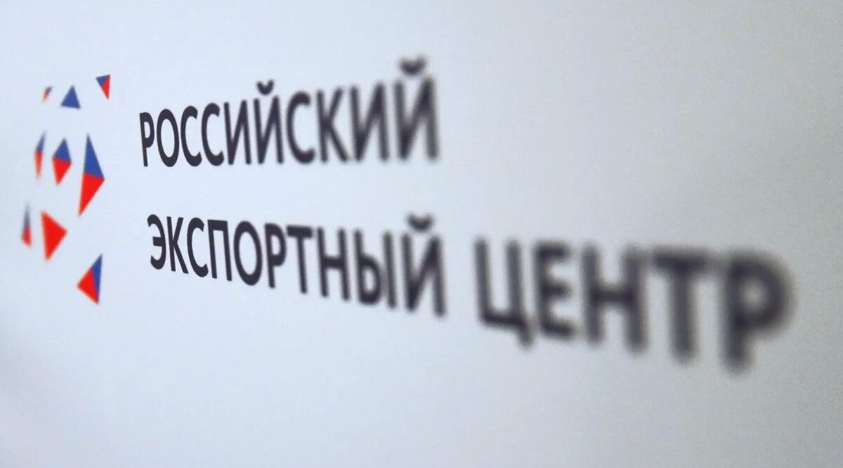 РЭЦ проведёт стрим с блогером Даньдань на ВЭФ