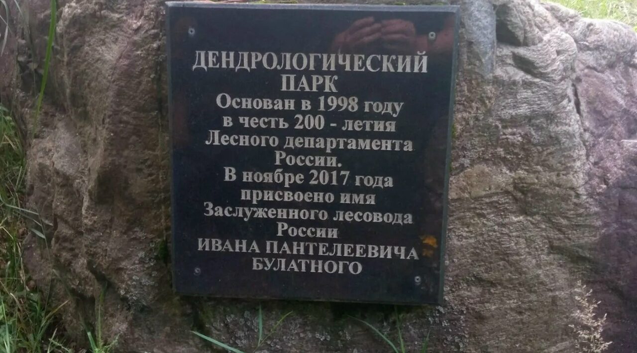 Лесничие Карачевского района заботятся о редком дендрарии