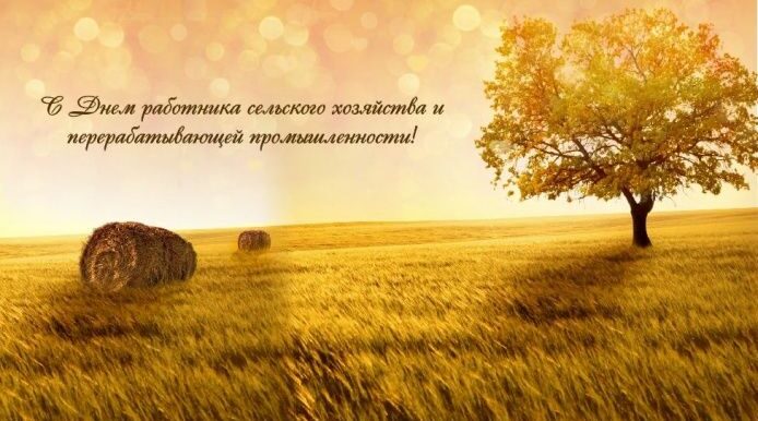 Уважаемые труженики села, работники и ветераны  агропромышленного комплекса Карачевского района!
